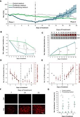 Frontiers High Resolution Monitoring Of Valvular Interstitial Cell